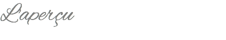 L'aperçu